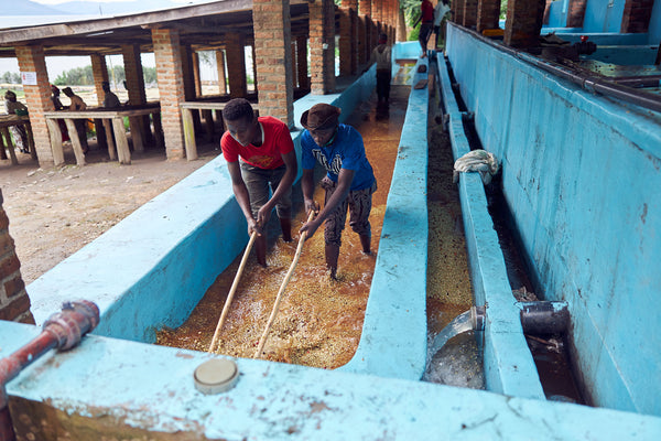 JMV Usekanabagoyi